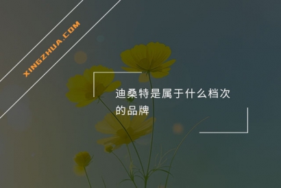 迪桑特是属于什么档次的品牌？