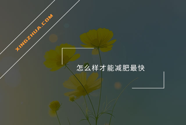 怎么样才能减肥最快？