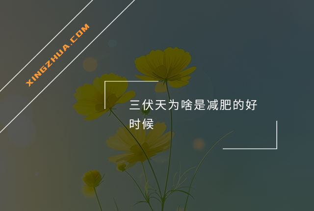 三伏天为啥是减肥的好时候？