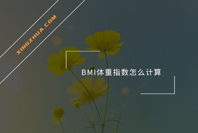 BMI体重指数怎么计算？