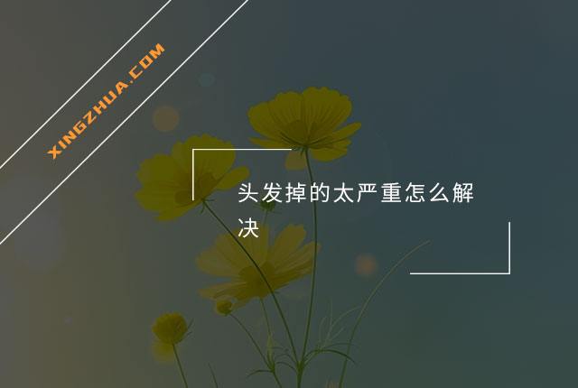 头发掉的太严重怎么解决？