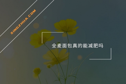 全麦面包真的能减肥吗？