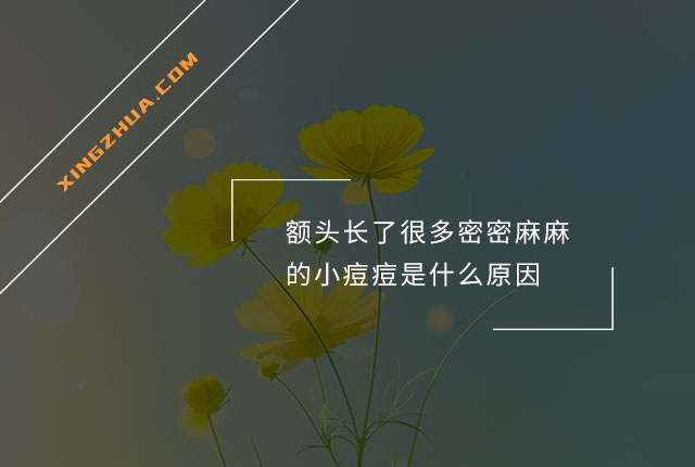 额头长了很多密密麻麻的小痘痘是什么原因？