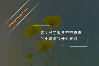额头长了很多密密麻麻的小痘痘是什么原因？