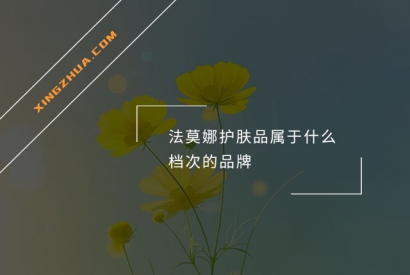 法莫娜护肤品属于什么档次的品牌？
