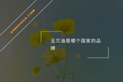 玉兰油是哪个国家的品牌？
