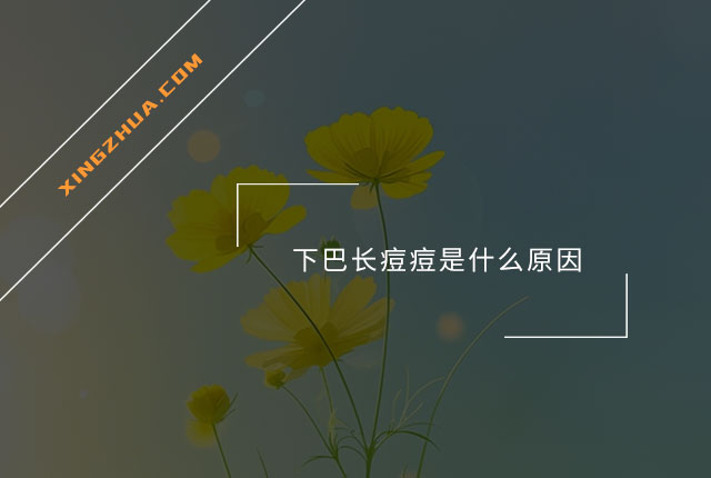 下巴长痘痘是什么原因？