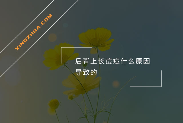 后背上长痘痘什么原因导致的？