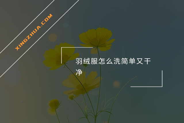 羽绒服怎么洗简单又干净？