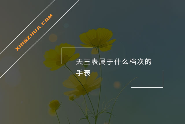 天王表属于什么档次的手表？