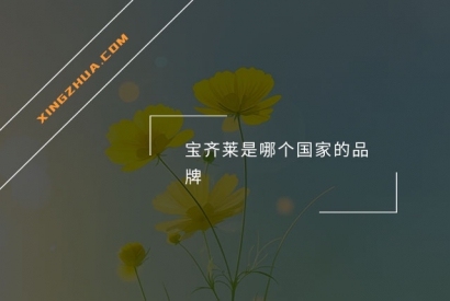 宝齐莱是哪个国家的品牌？