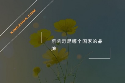 斯凯奇是哪个国家的品牌？
