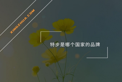 特步是哪个国家的品牌？