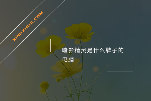 暗影精灵是什么牌子的电脑？
