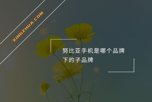 努比亚手机是哪个品牌下的子品牌？