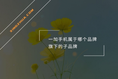 一加手机属于哪个品牌旗下的子品牌？