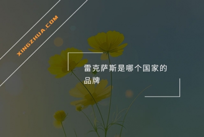 雷克萨斯是哪个国家的品牌？