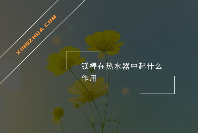 镁棒在热水器中起什么作用？