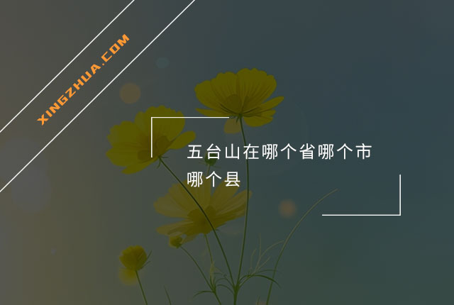 五台山在哪个省哪个市哪个县？
