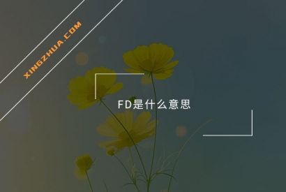 FD是什么意思？