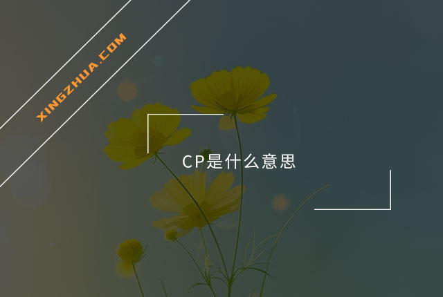 CP是什么意思？