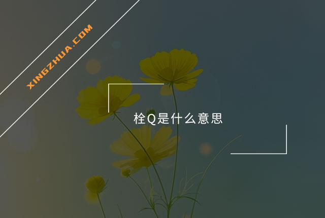 栓Q是什么意思？