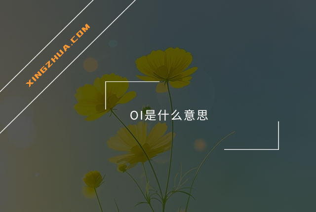 OI是什么意思？