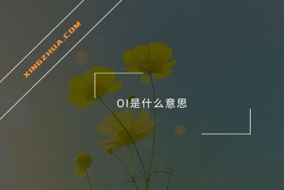 OI是什么意思？