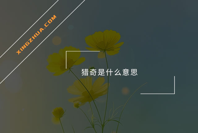 猎奇是什么意思？