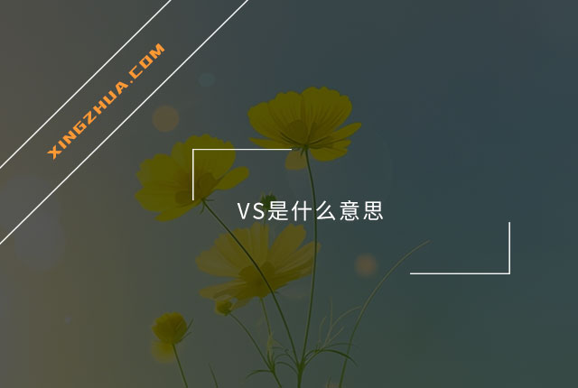 VS是什么意思？