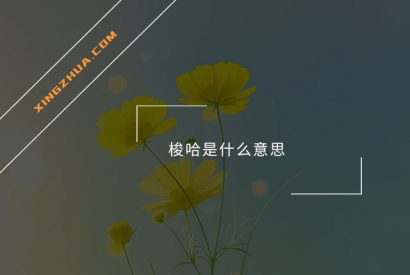 梭哈是什么意思？