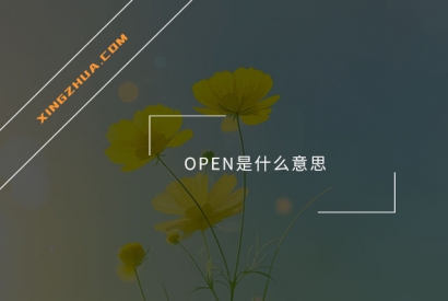 OPEN是什么意思？