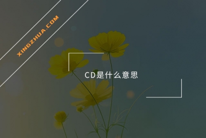 CD是什么意思？